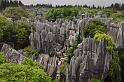 184 Kunming, stone forest
